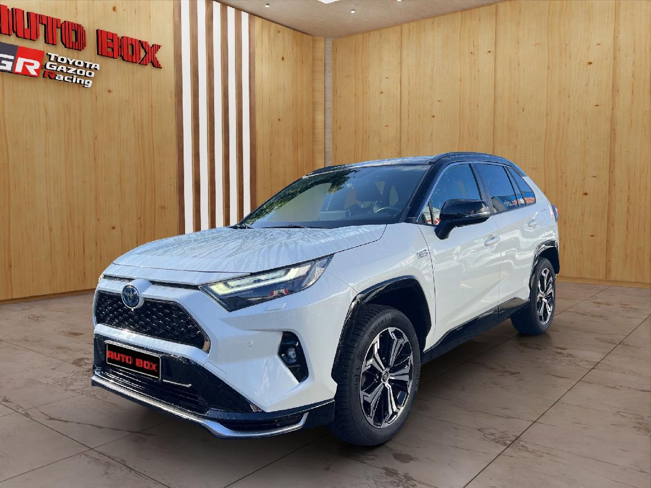 Toyota RAV4 - plus [SP], [TA] und [SD]